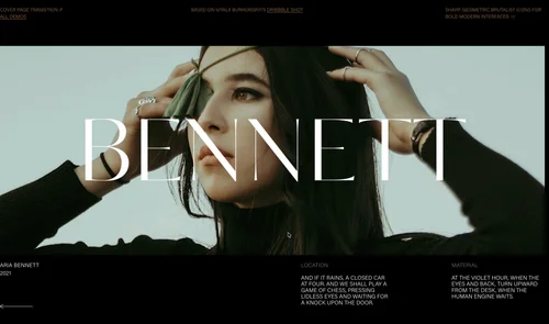 Smooth website transition
