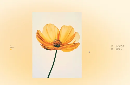 Smooth scroll animation