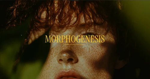 Webgl shader animation