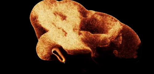 Webgl shader animation